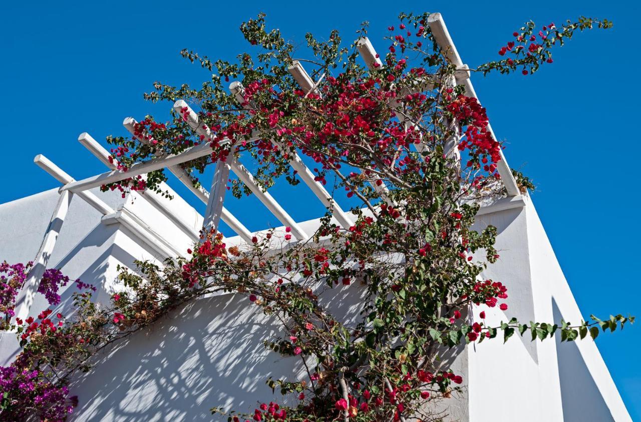 Casa Cozy Villa Mykonos Town Ngoại thất bức ảnh