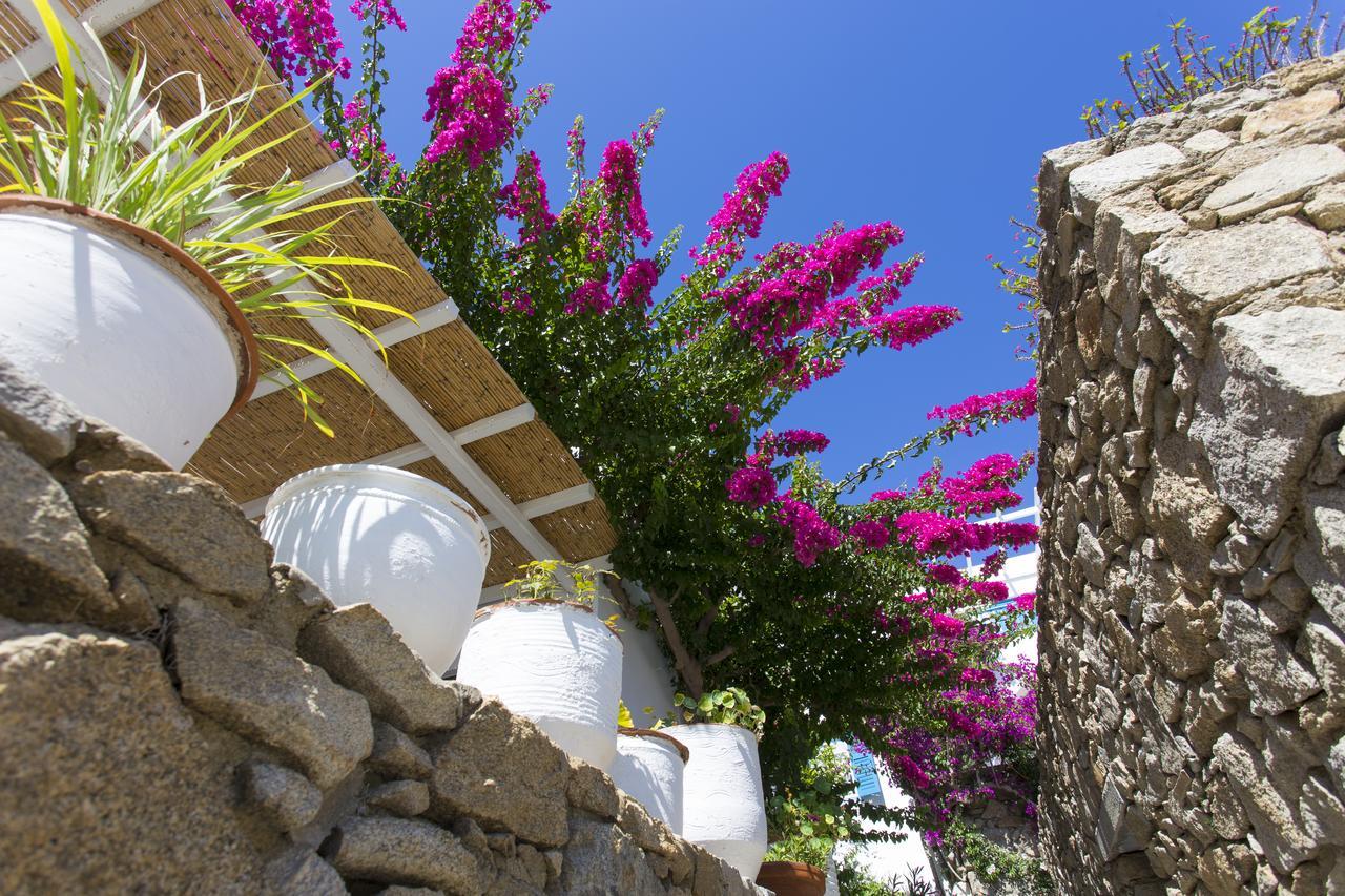 Casa Cozy Villa Mykonos Town Ngoại thất bức ảnh